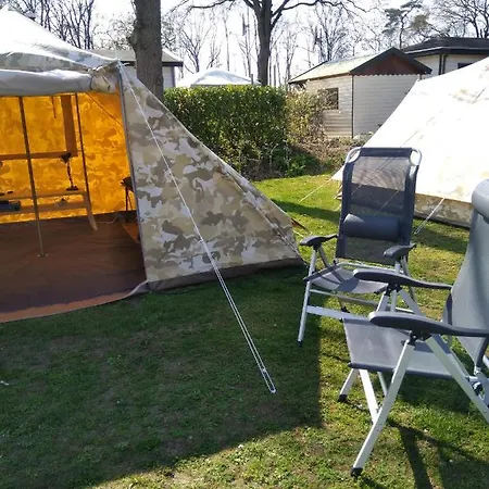 Tent-ok, Wognum